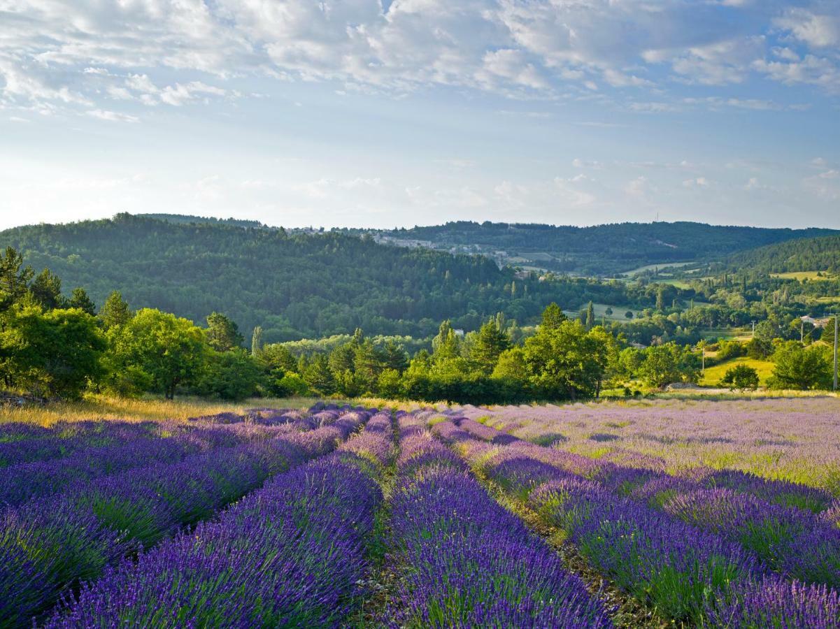 Le Jas De Verdolier Sault-de-Vaucluse Exterior photo
