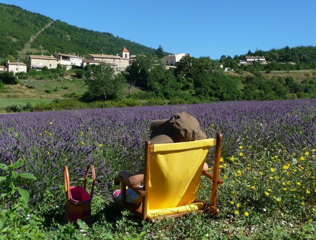 Le Jas De Verdolier Sault-de-Vaucluse Exterior photo
